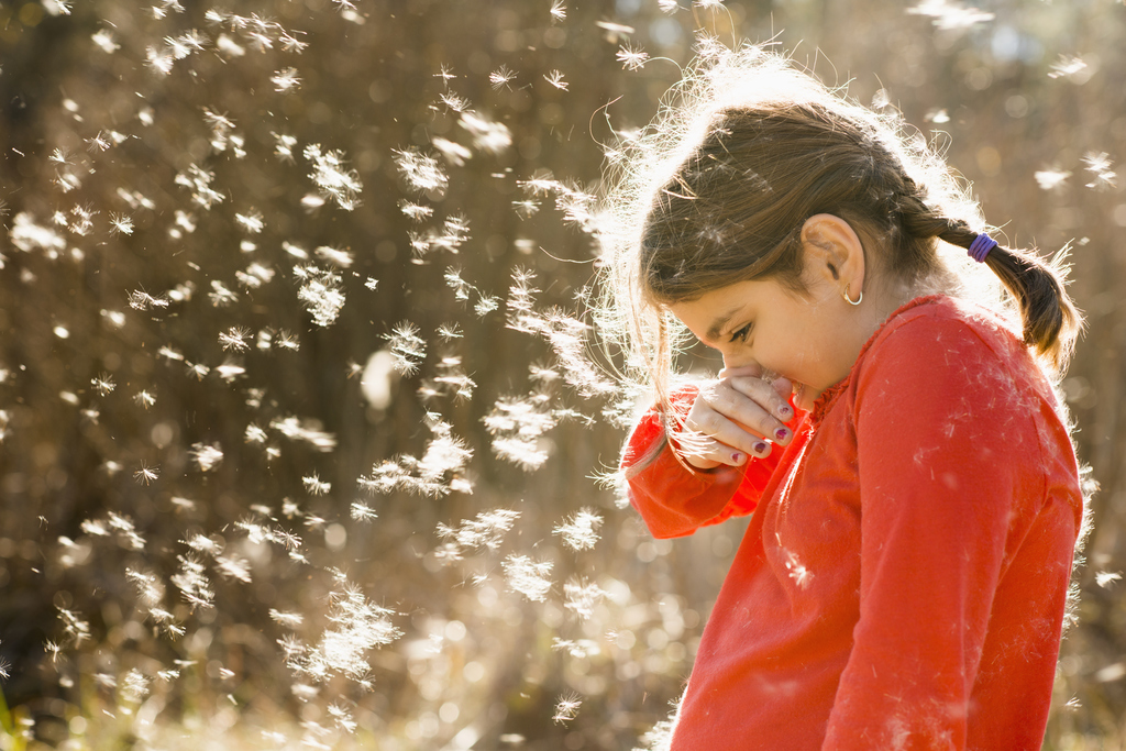 Как отличить аллергию у ребенка от обычного насморка