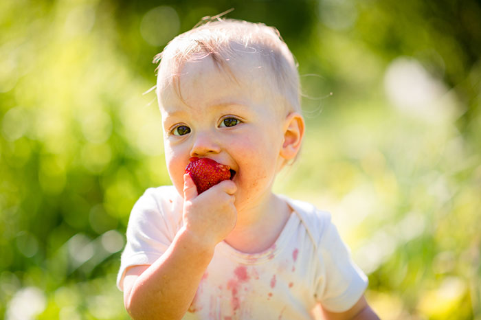 Знакомство малыша с твердой пищей: успеть до первого зуба