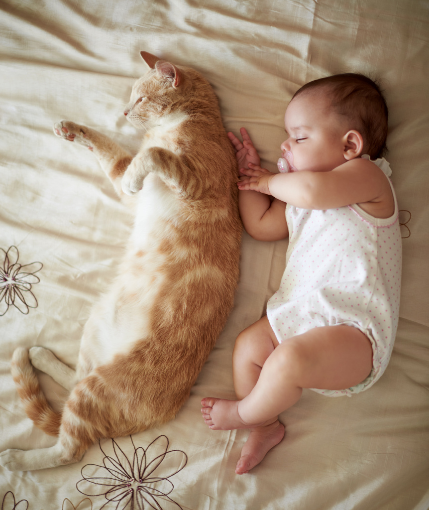 «Не дергай кота за хвост!» Как без травм подружить питомца и младенца