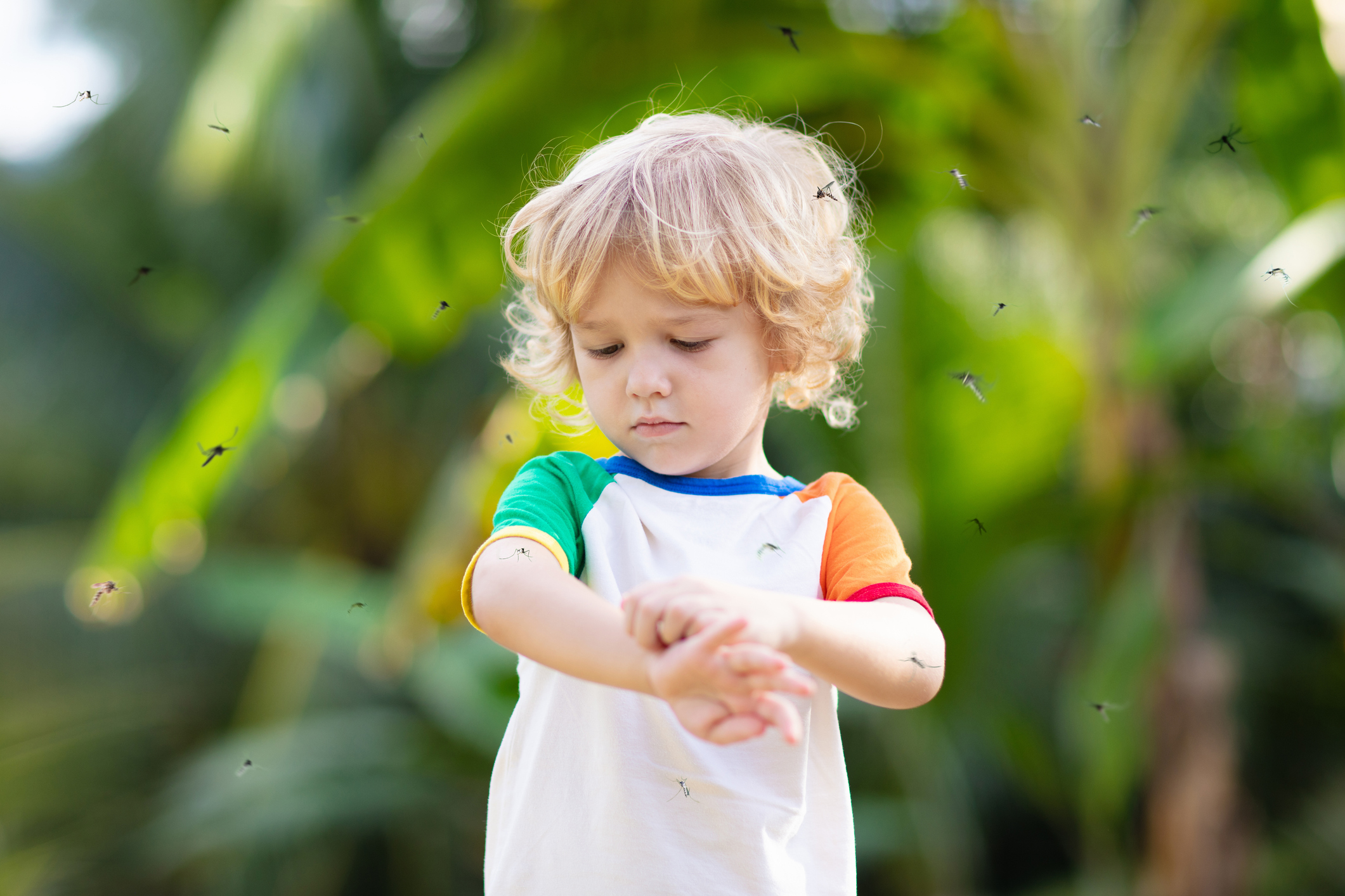 Ребенка покусали комары и мошки: как снять зуд, отек и боль