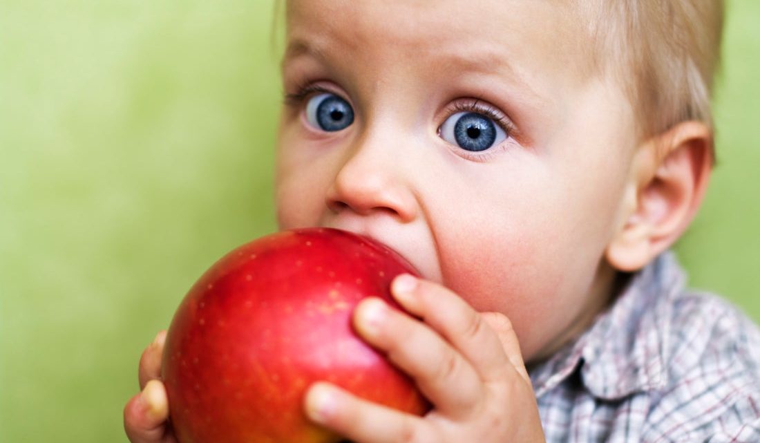 Знакомство малыша с твердой пищей: как научить ребенка жевать