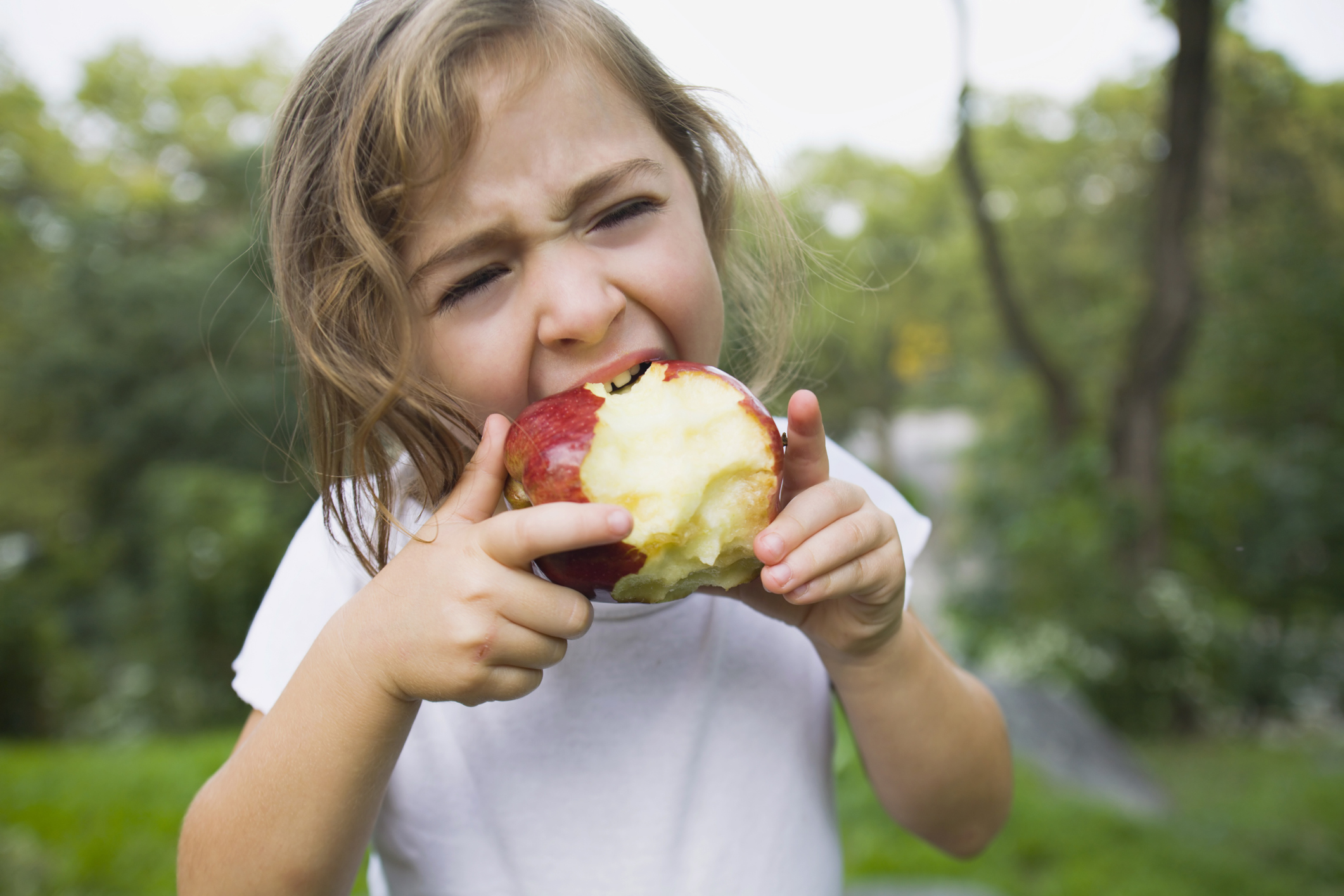 Фото №1 - Яблоки и еще 6 фруктов, которые нельзя есть с зернышками