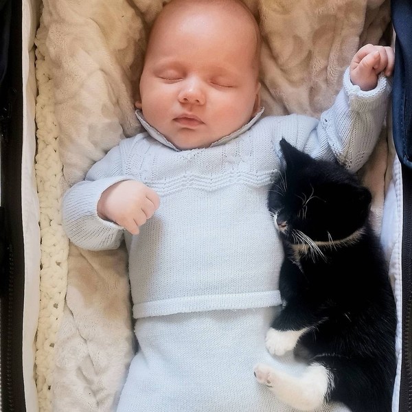 Кошачьи обнимашки: 35 милых фото спящих малышей и их питомцев