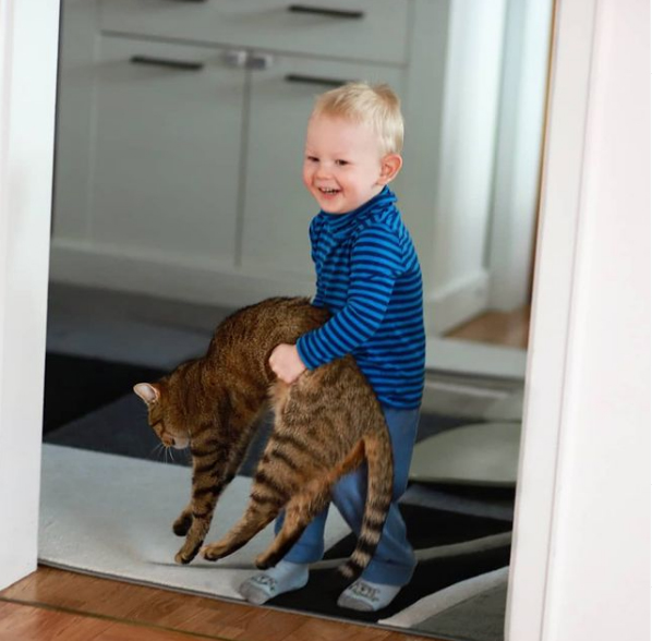 Сплошная милота: 7 трогательных видео с детьми и котятами