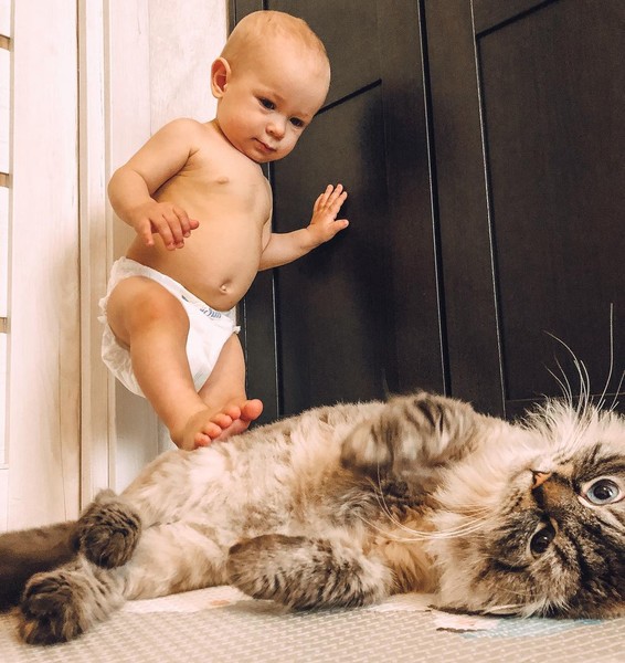 Сплошная милота: 7 трогательных видео с детьми и котятами