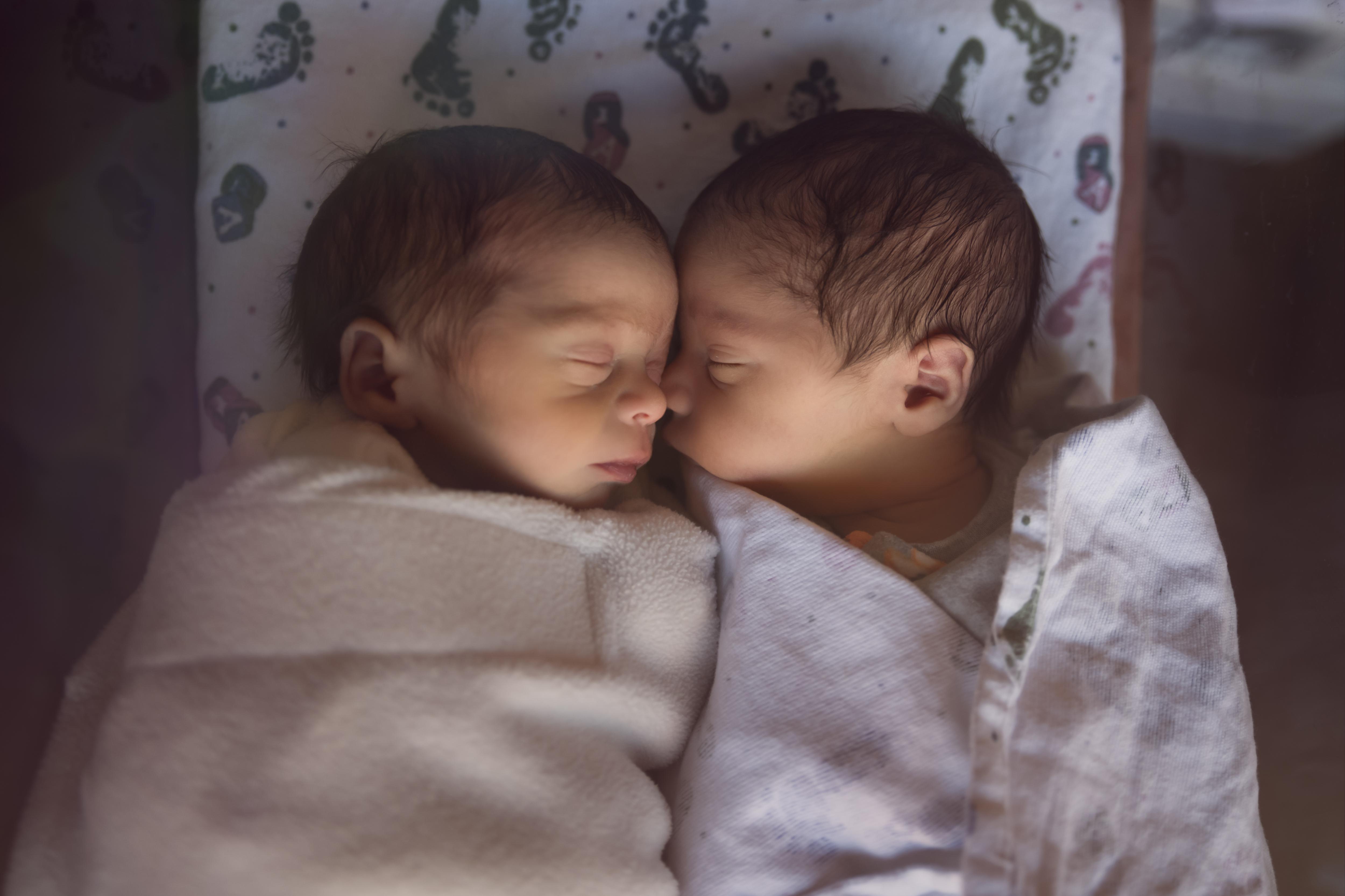 Фото №1 - 10 удивительных фактов о беременности двойней