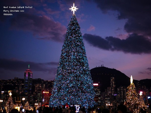 15 cамых красивых новогодних елок мира в 2022 году