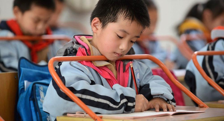 Китайские школьники каждый день заполняют «паспорта жизни» — почему такая практика нужна и нашим детям