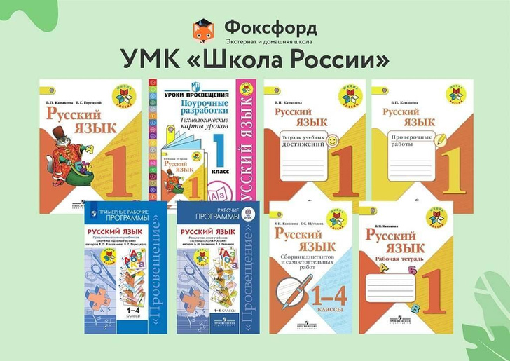 5 основных школьных программ в России