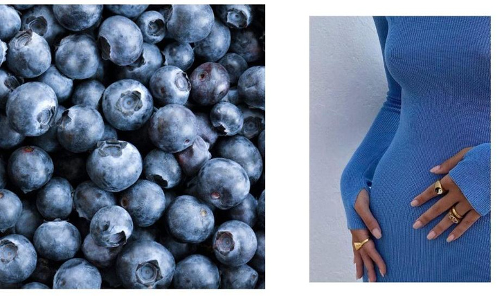 Что происходит с телом, если есть чернику каждый день: 7 полезных свойств лесной ягоды