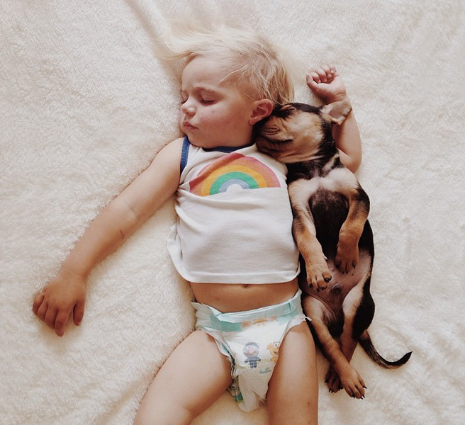 Что будет, если оставить малыша наедине с питомцем: 35 уморительных фото